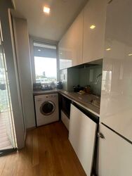 The Peak @ Cairnhill II (D9), Apartment #507208261